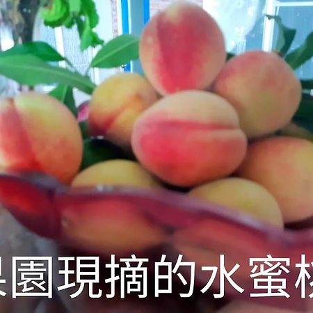 דונגהה Taitung Linyuan B&B מראה חיצוני תמונה