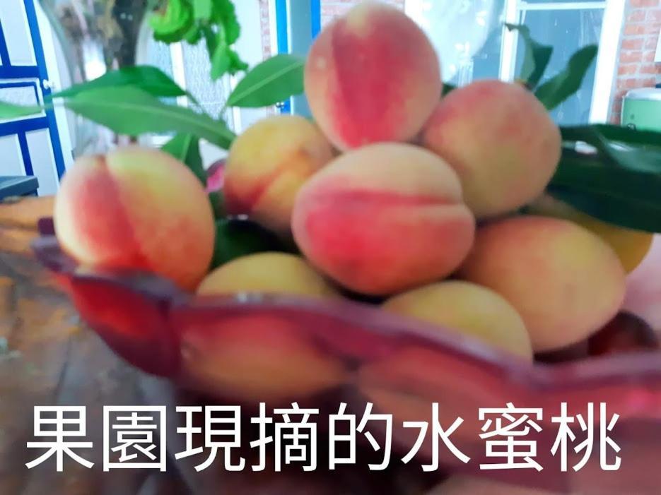 דונגהה Taitung Linyuan B&B מראה חיצוני תמונה