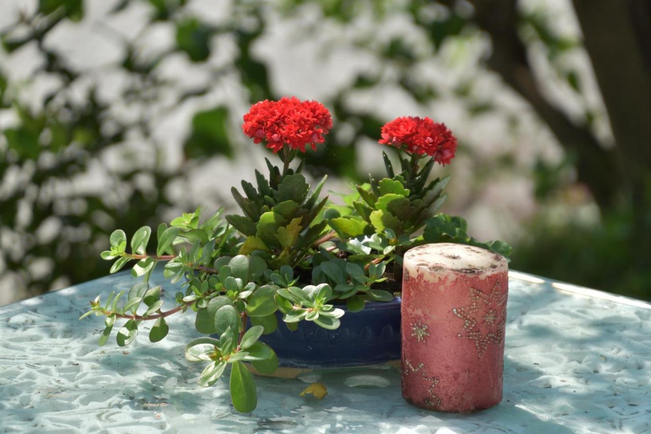 דונגהה Taitung Linyuan B&B מראה חיצוני תמונה
