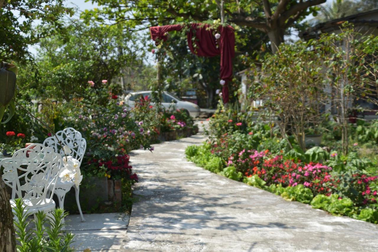 דונגהה Taitung Linyuan B&B מראה חיצוני תמונה