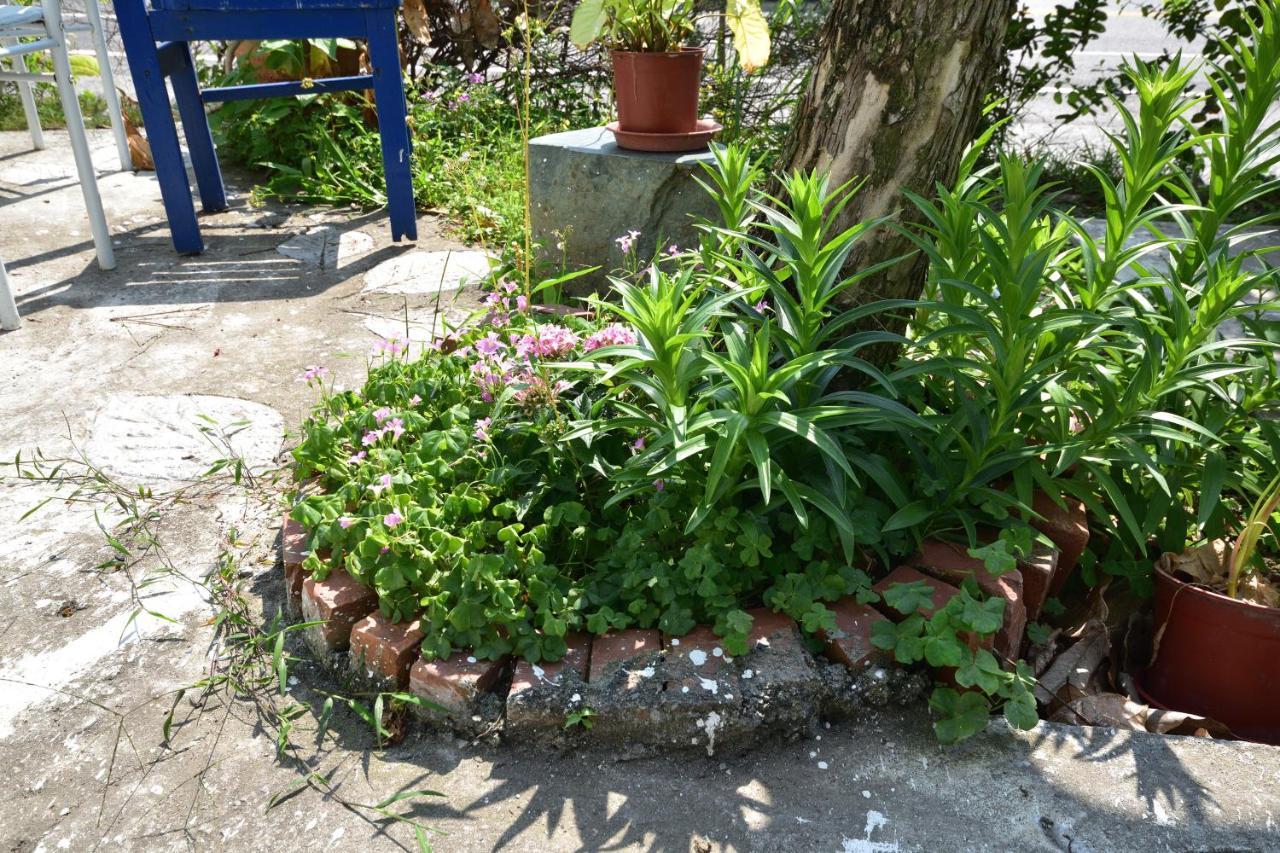 דונגהה Taitung Linyuan B&B מראה חיצוני תמונה